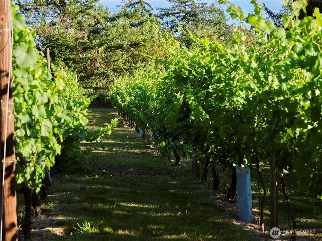 11700 NE 279th Street, Battle Ground, WA 98604