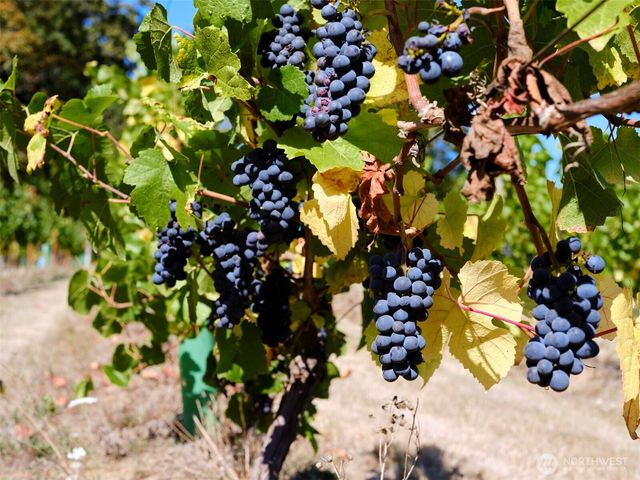 11700 NE 279th Street, Battle Ground, WA 98604