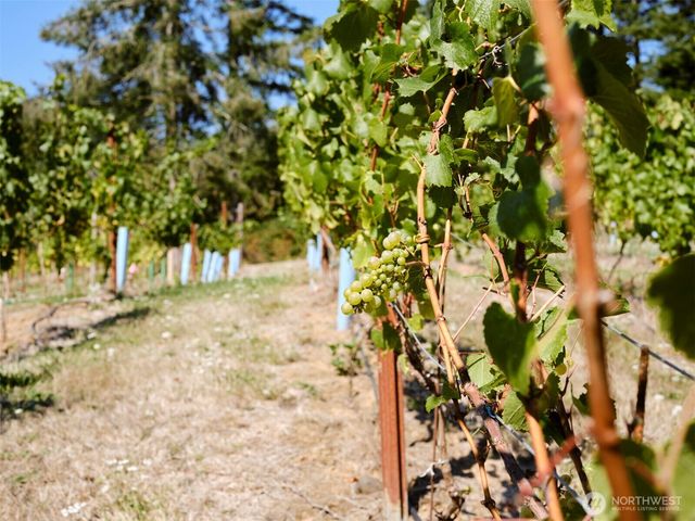 11700 NE 279th Street, Battle Ground, WA 98604