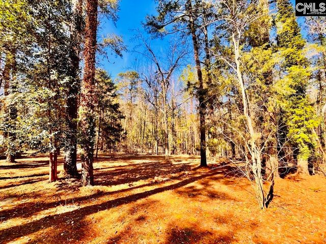 1301 Winterwood Road, Columbia, SC 29203