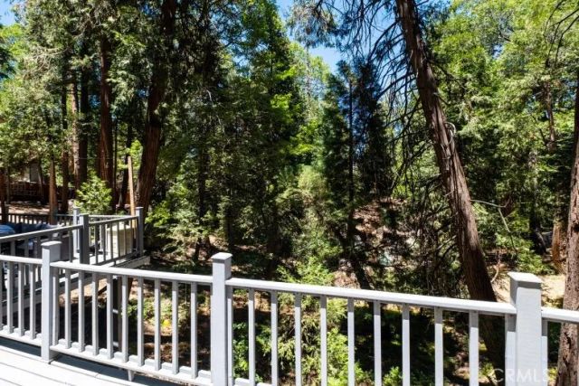 29054 Alder Ter, Cedar Glen, CA 92321