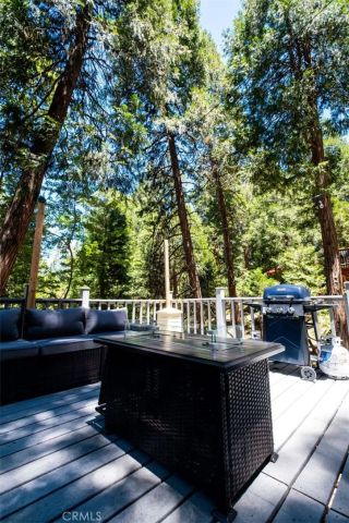 29054 Alder Ter, Cedar Glen, CA 92321