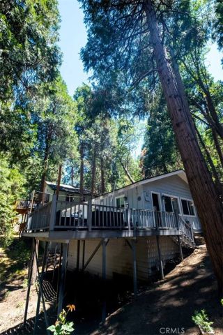 29054 Alder Ter, Cedar Glen, CA 92321