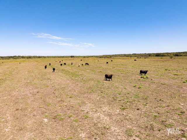 TBD County Road 428, Rising Star, TX 76471
