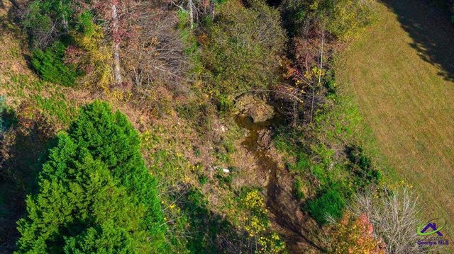 518 River Overlook, Forsyth, GA 31029