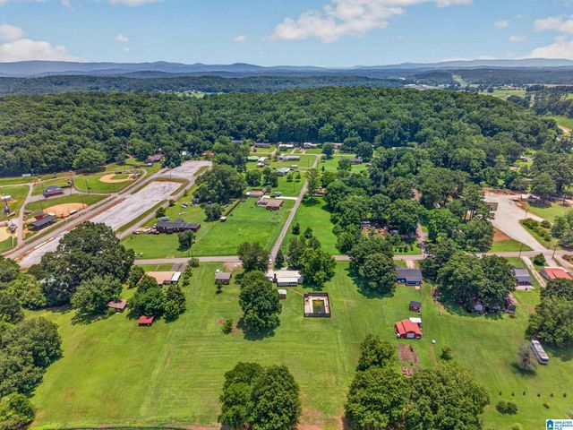 195 PATTIWAY DRIVE, Alexandria, AL 36250