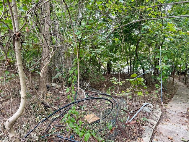 25 Lyons Ct, Watertown, MA 02472