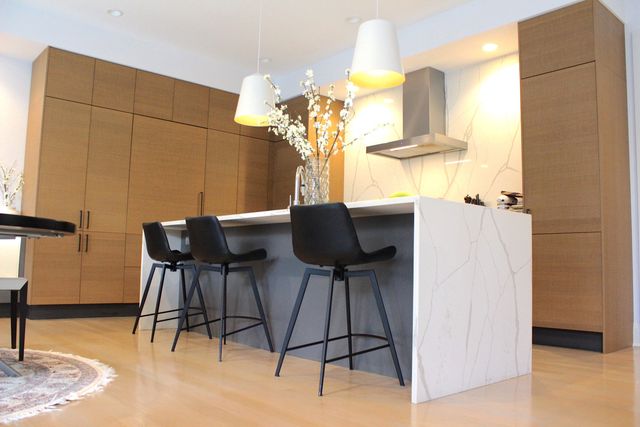 1110 W Schubert Avenue 201, Chicago, IL 60614