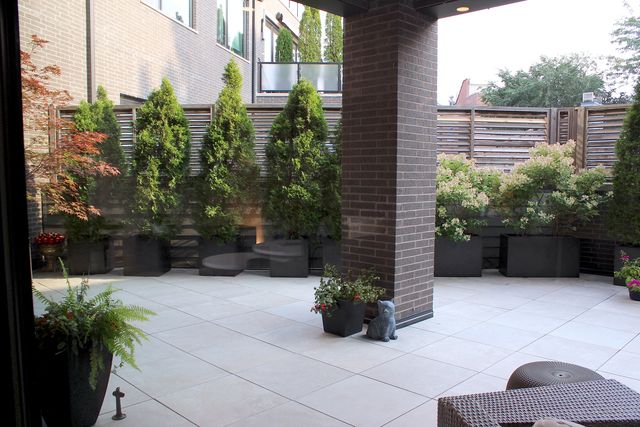 1110 W Schubert Avenue 201, Chicago, IL 60614