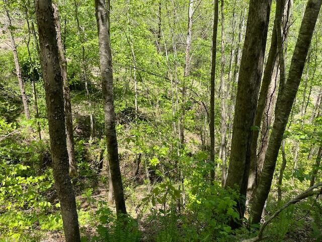 9999 Hooker Branch Road, Barbourville, KY 40906