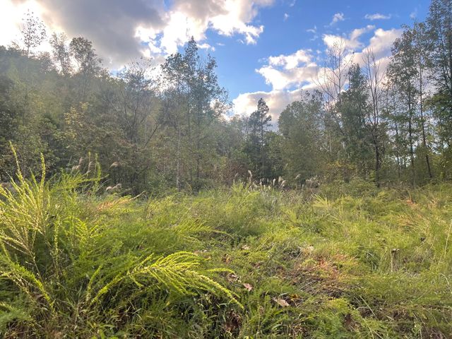 9999 Hooker Branch Road, Barbourville, KY 40906