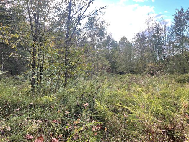 9999 Hooker Branch Road, Barbourville, KY 40906