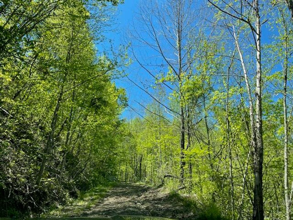 9999 Hooker Branch Road, Barbourville, KY 40906