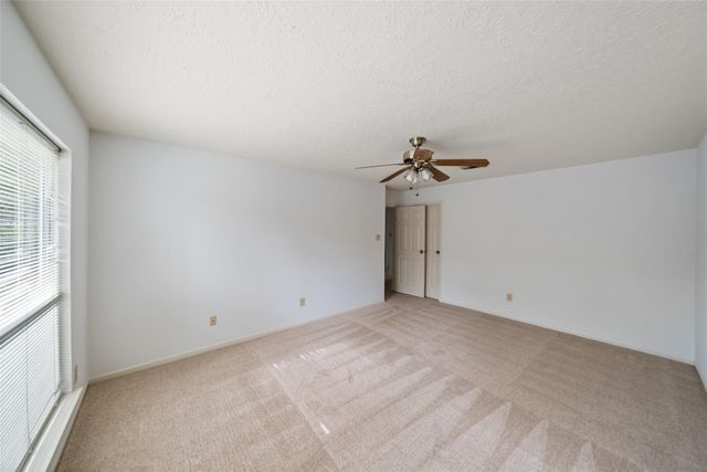 19 Tulip Hill Court, The Woodlands, TX 77380