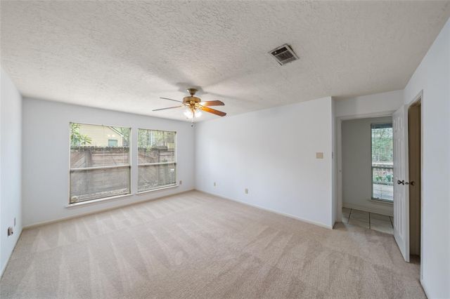 19 Tulip Hill Court, The Woodlands, TX 77380