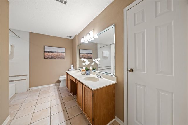 19 Tulip Hill Court, The Woodlands, TX 77380