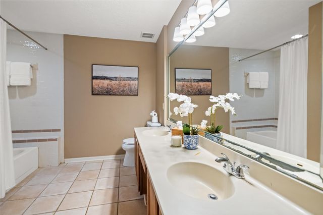 19 Tulip Hill Court, The Woodlands, TX 77380