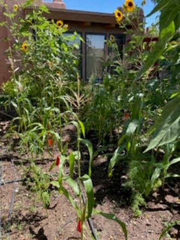 2000 W Mate Court NE, Rio Rancho, NM 87144