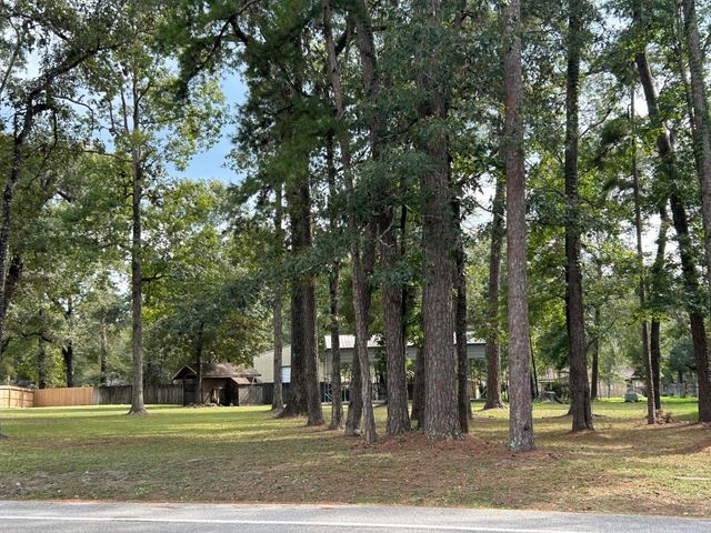 2006 Roman Forest Boulevard, New Caney, TX 77357