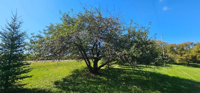 15531 County 21, Canton Twp, MN 55922