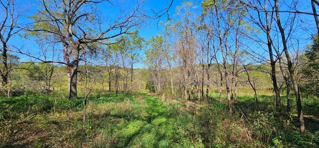 15531 County 21, Canton Twp, MN 55922