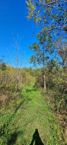 15531 County 21, Canton Twp, MN 55922