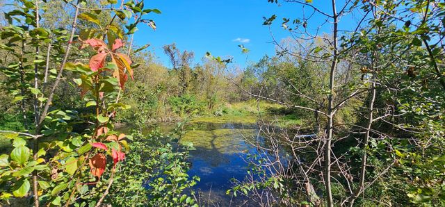 15531 County 21, Canton Twp, MN 55922