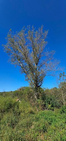 15531 County 21, Canton Twp, MN 55922