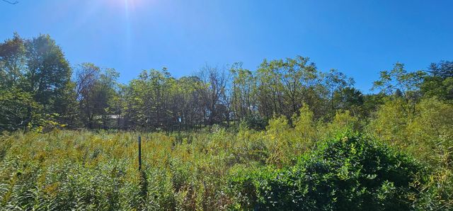 15531 County 21, Canton Twp, MN 55922