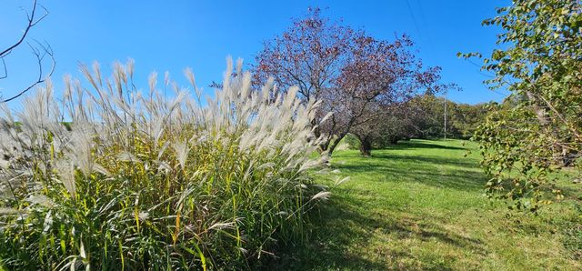 15531 County 21, Canton Twp, MN 55922