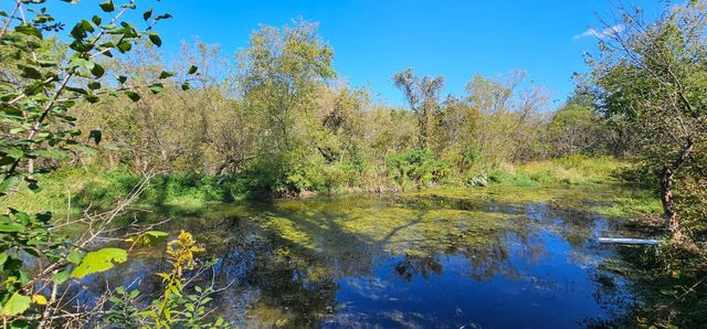 15531 County 21, Canton Twp, MN 55922