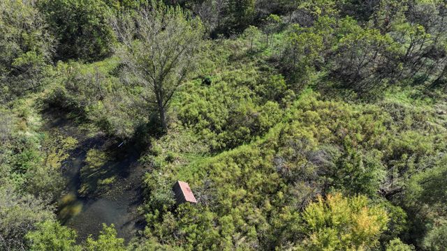 15531 County 21, Canton Twp, MN 55922