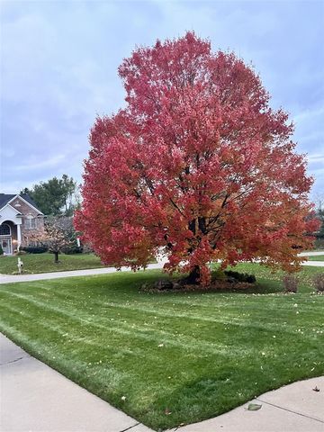 8194 Brandon Circle, Mattawan, MI 49071