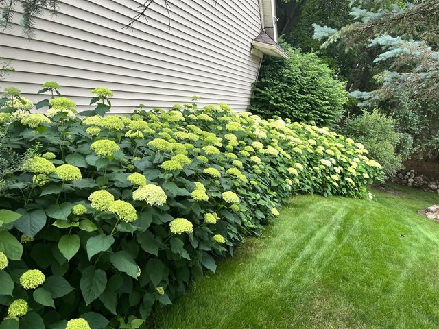 8194 Brandon Circle, Mattawan, MI 49071