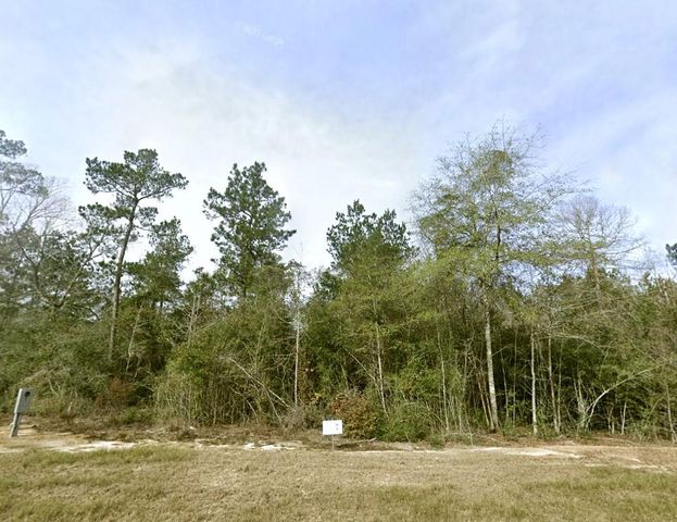 1-4-63 Courage Trail, New Waverly, TX 77358