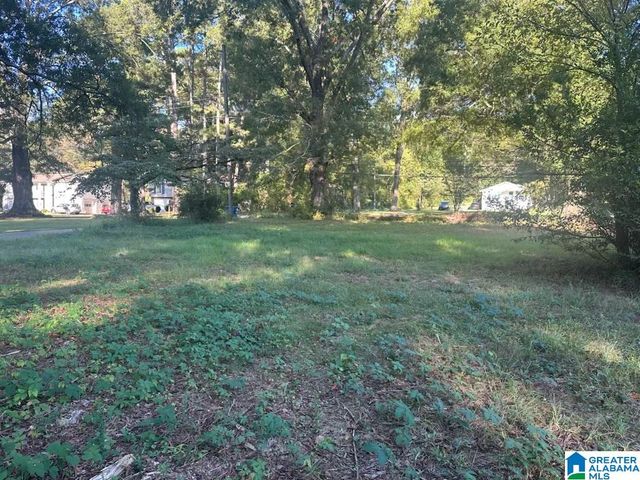 5453 OLD SPRINGVILLE ROAD, Pinson, AL 35126