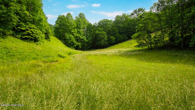 1651 Windingstairs Road, Topton, NC 28781