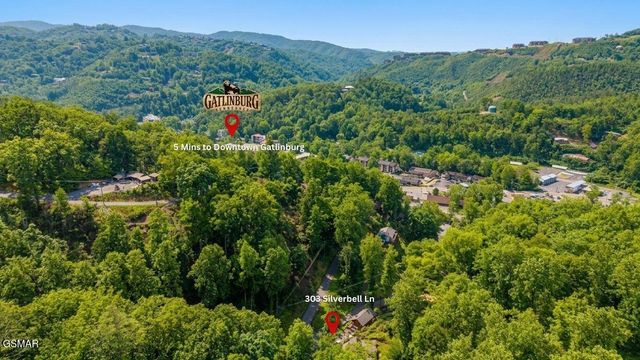 303 Silverbell Lane, Gatlinburg, TN 37738