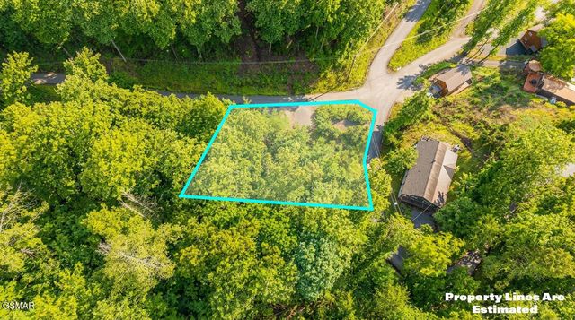 303 Silverbell Lane, Gatlinburg, TN 37738