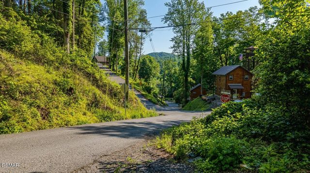 303 Silverbell Lane, Gatlinburg, TN 37738