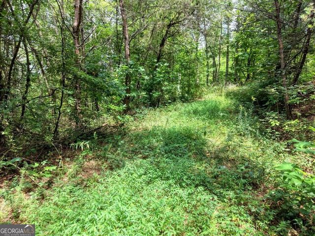 LOTS 1-8 Teaks Drive, Hayesville, NC 28904