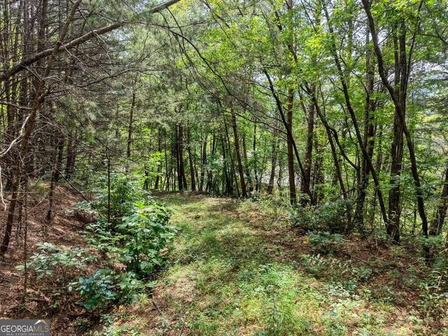 LOTS 1-8 Teaks Drive, Hayesville, NC 28904