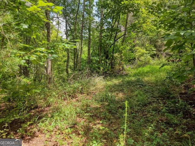 LOTS 1-8 Teaks Drive, Hayesville, NC 28904