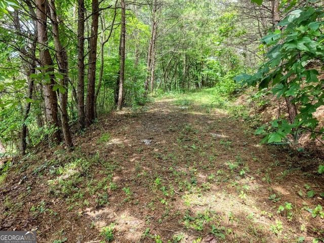LOTS 1-8 Teaks Drive, Hayesville, NC 28904