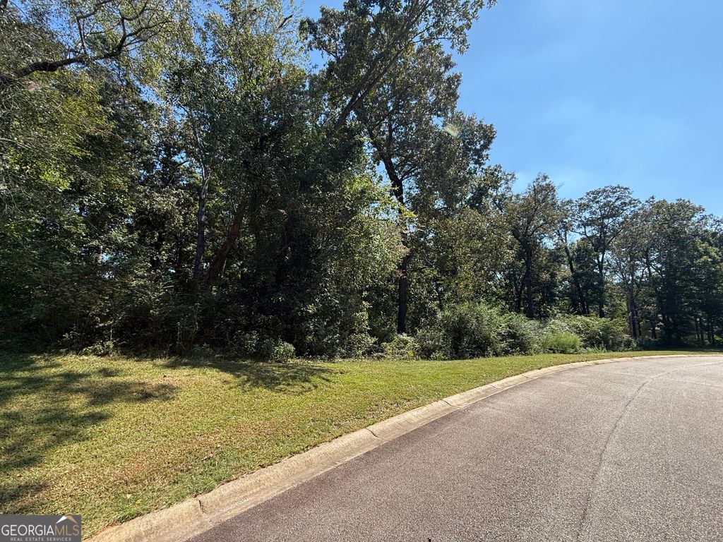 0 Mountain Vista, Clarkesville, GA 30523 — photo 2
