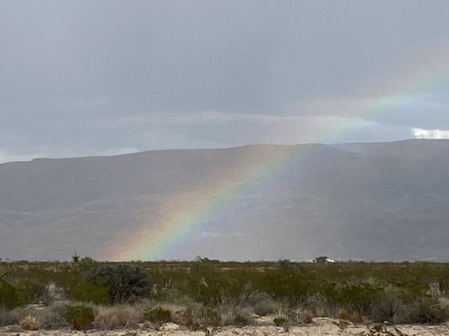 453 La Roja Lane, Terlingua, TX 79852