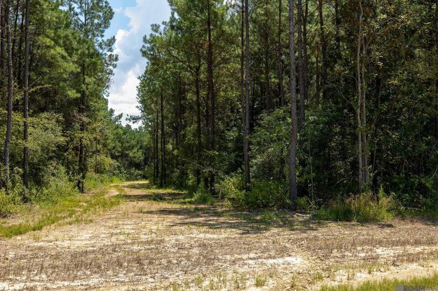 19017 Honey Grove, Livingston, LA 70754