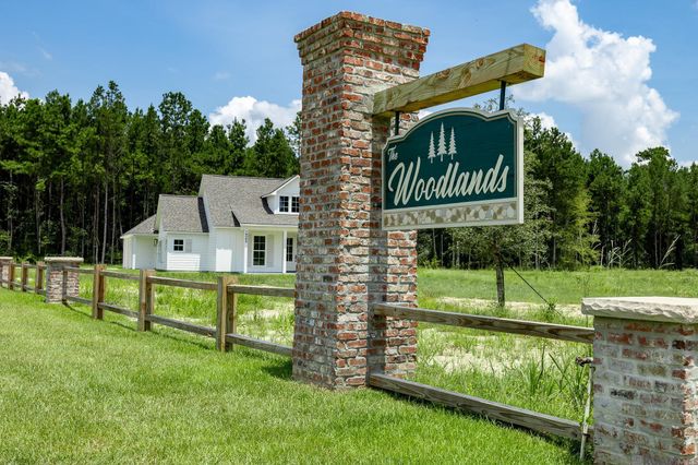 19017 Honey Grove, Livingston, LA 70754