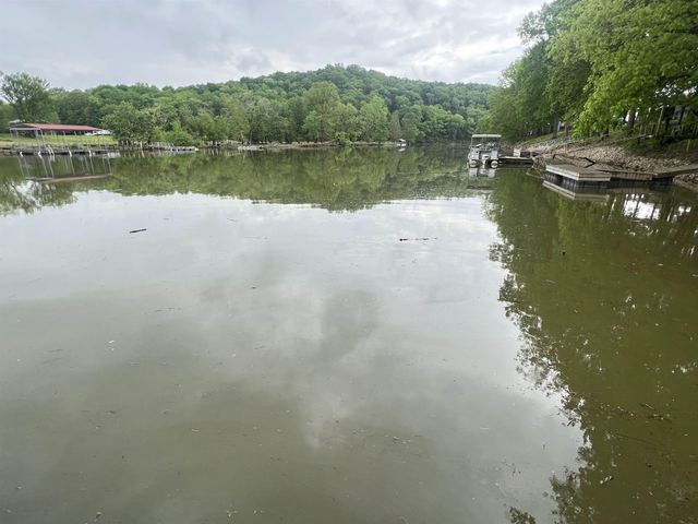 201 BEECHVIEW DR, Clifton, TN 38425