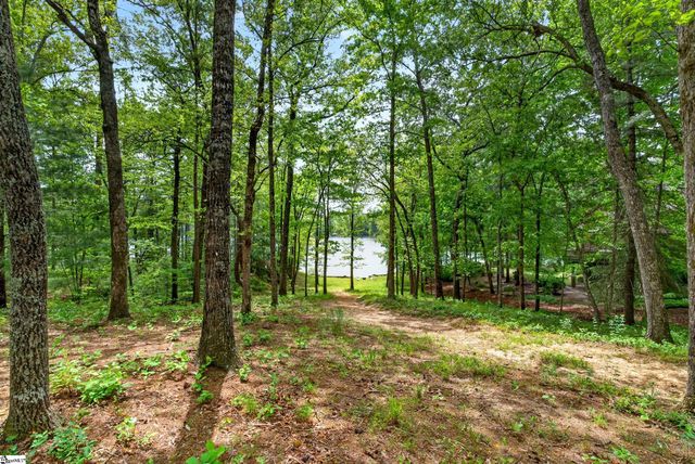 1875 Cleo Chapman Highway, Sunset, SC 29685
